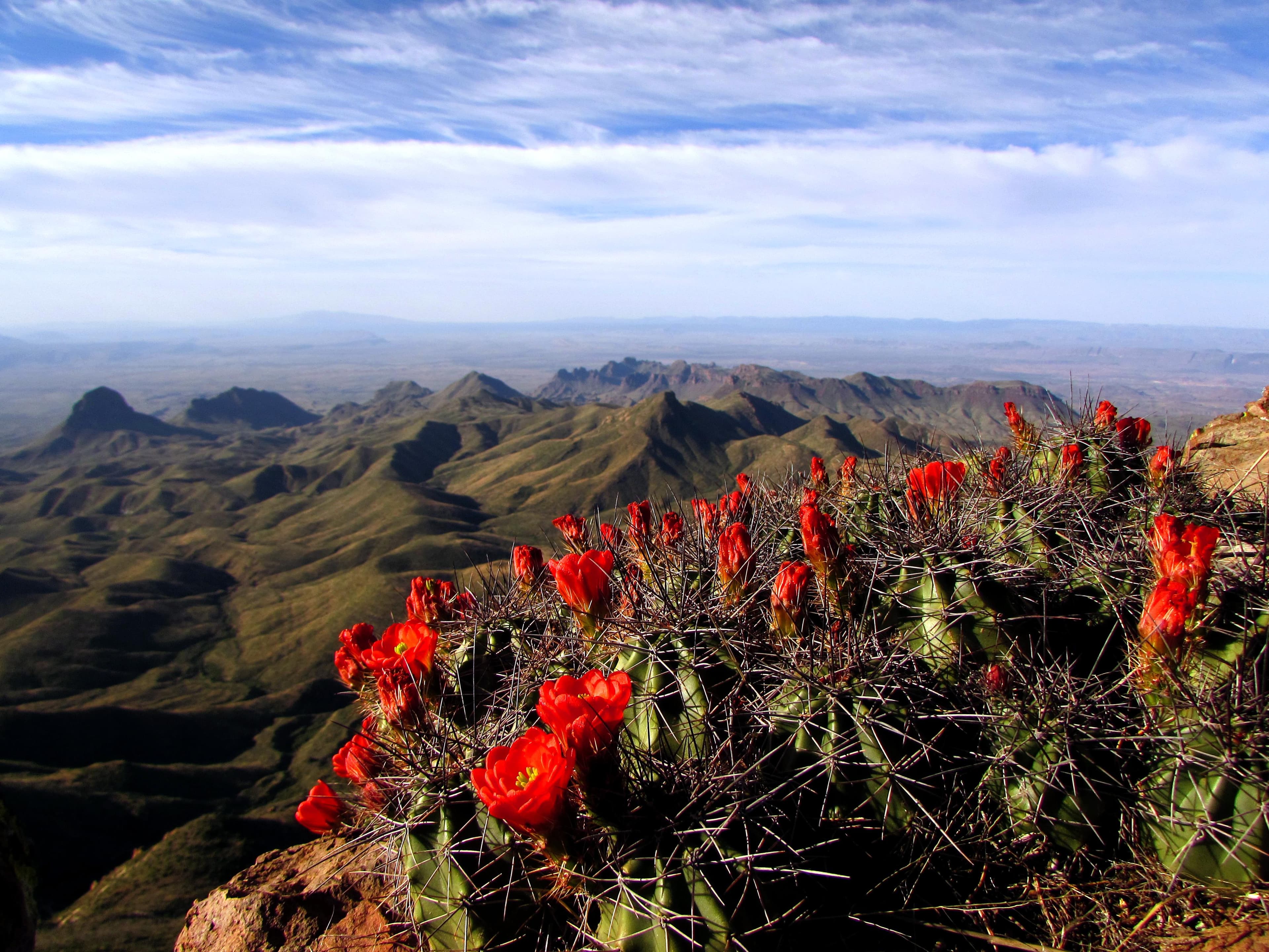 Big Bend is a place of expansive views